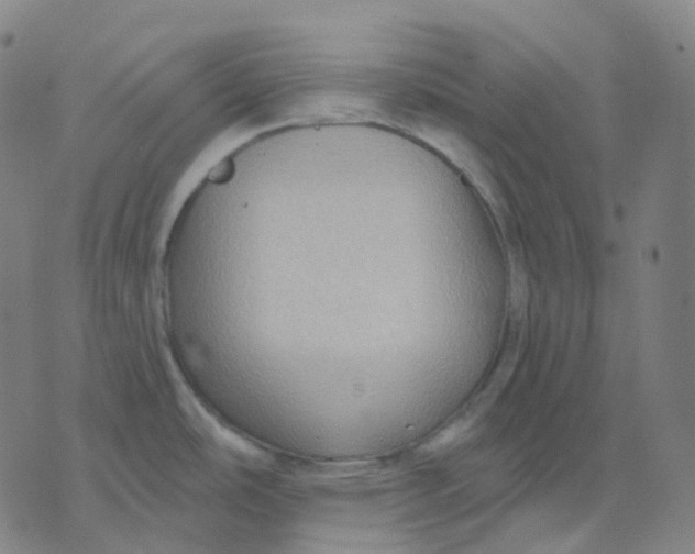 X0000071801486200607211634