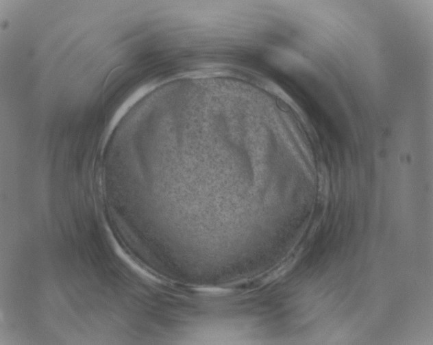 X0000071801487200607211634