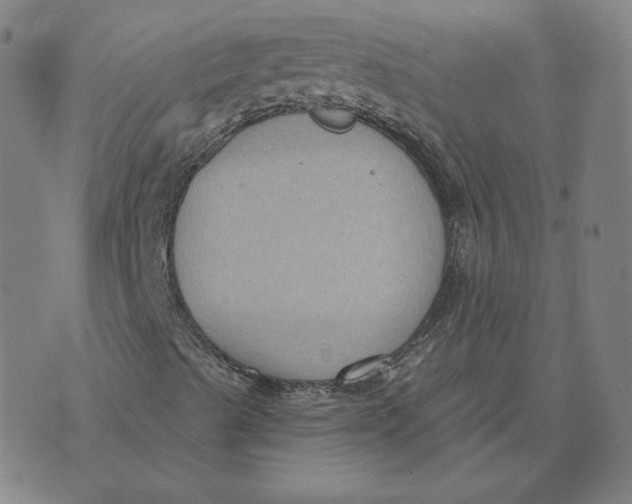 X0000071801489200607211634