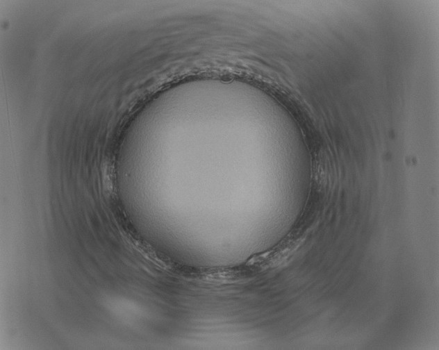 X0000071801490200607211634