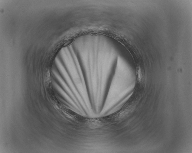 X0000071801492200607211634