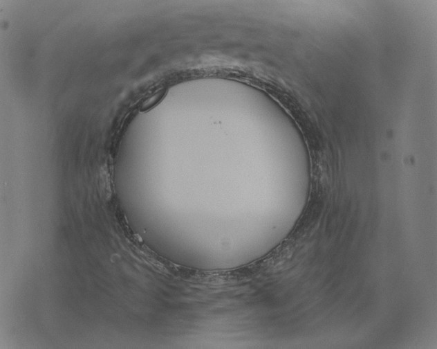 X0000071801493200607211634