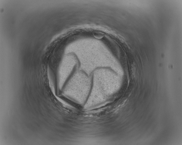 X0000071801494200607211634