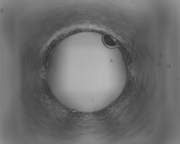 X0000071801495200607211634