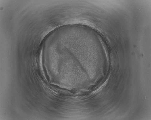 X0000071801497200607211634