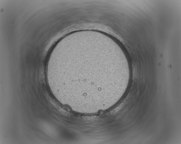 X0000071801498200607211634