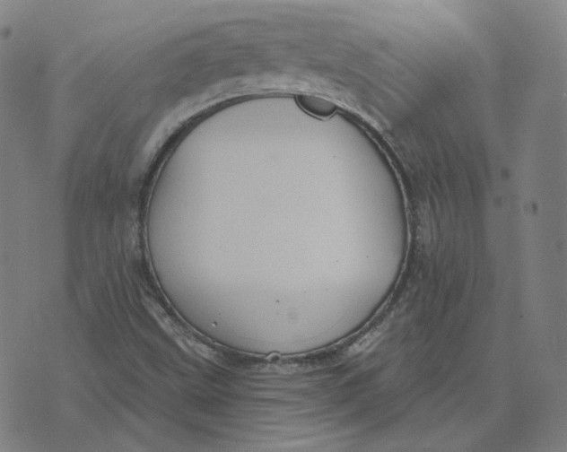 X0000071801499200607211634