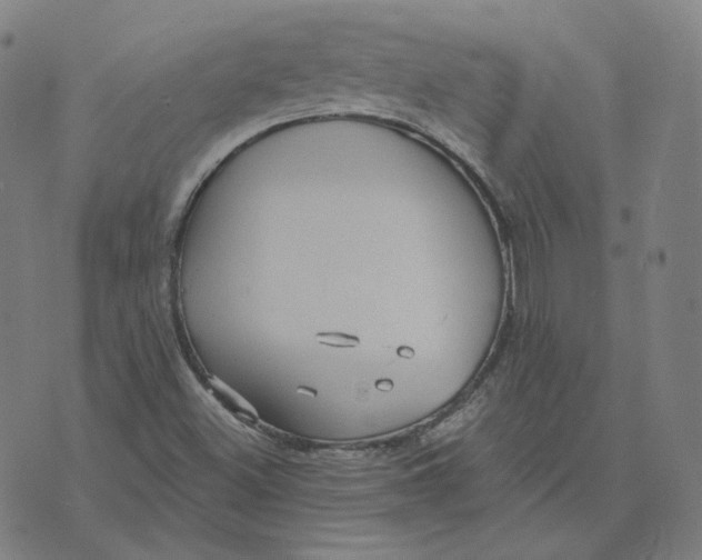 X0000071801500200607211634