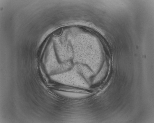 X0000071801501200607211634