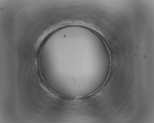 X0000071801503200607211634