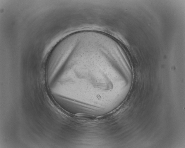 X0000071801504200607211634