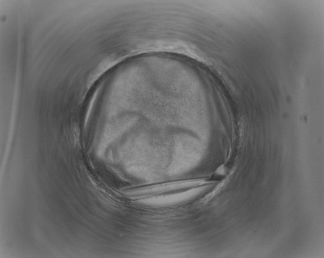 X0000071801505200607211634