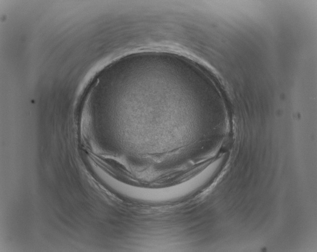 X0000071801506200607211634