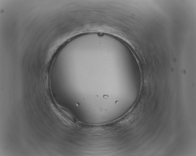 X0000071801507200607211634