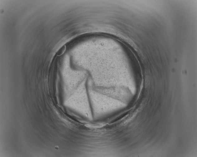 X0000071801513200607211634