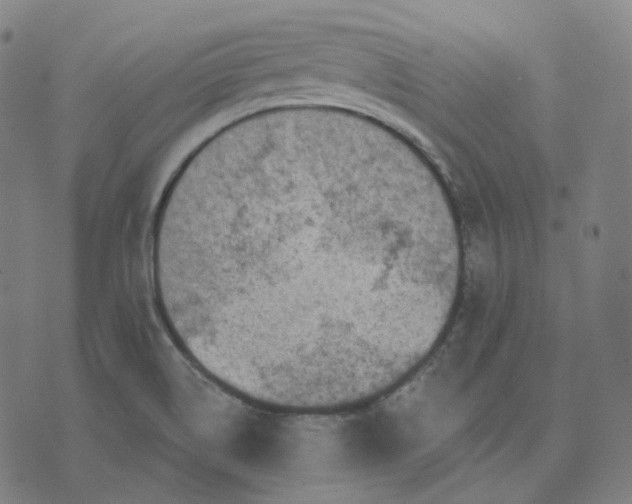 X0000071801514200607211634