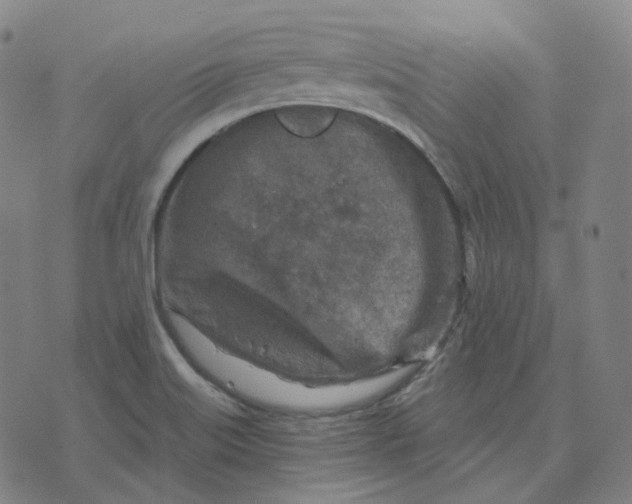 X0000071801515200607211634