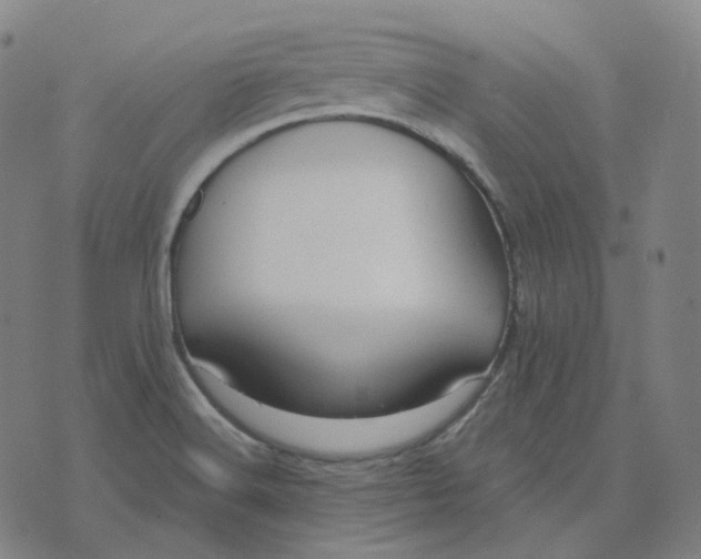 X0000071801516200607211634