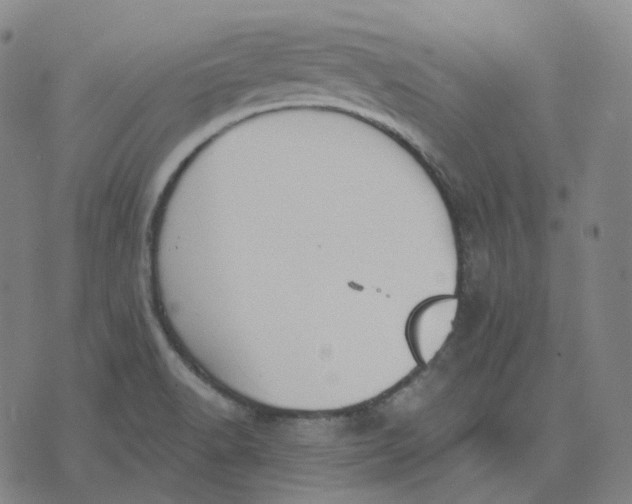 X0000071801518200607211634