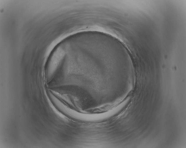 X0000071801519200607211634