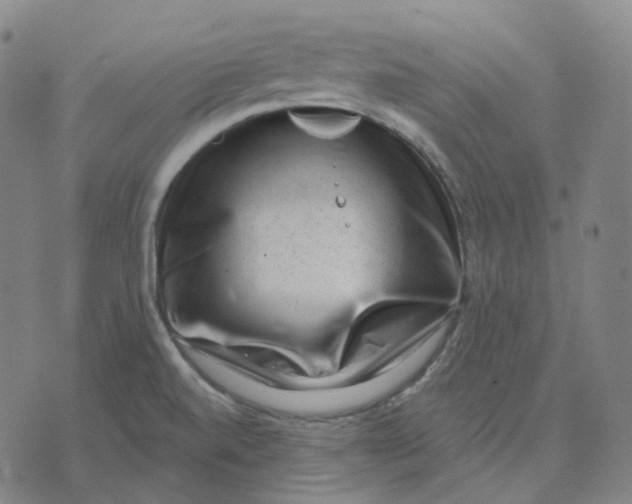 X0000071801520200607211634