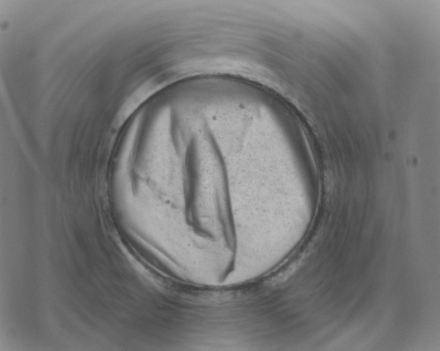 X0000071801521200607211634