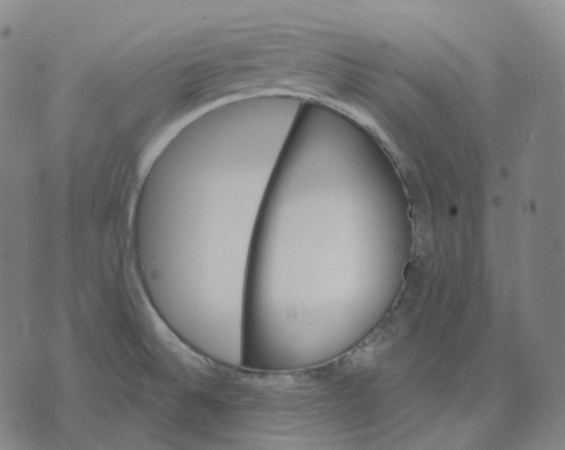 X0000071801524200607211634