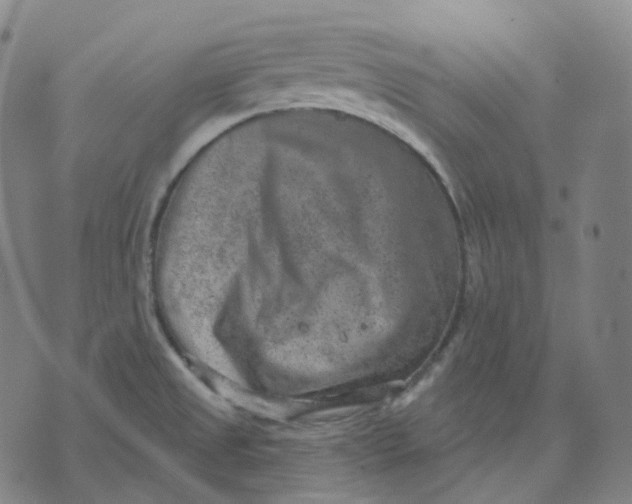 X0000071801525200607211634