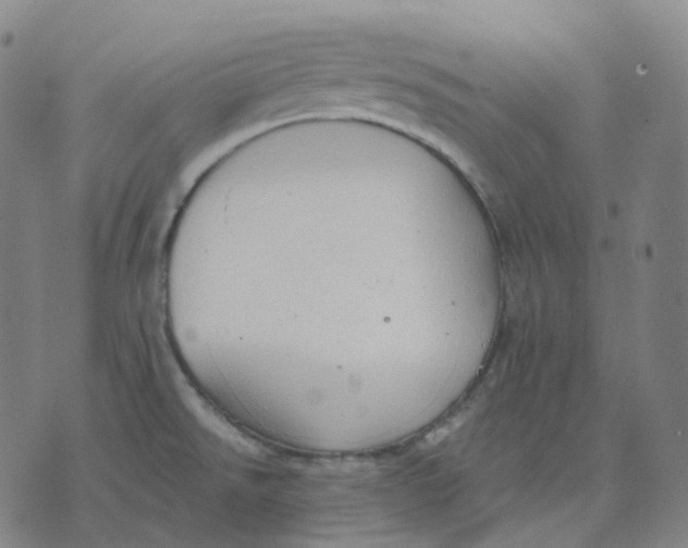 X0000071801526200607211634