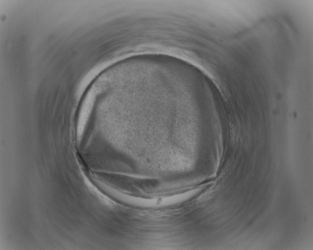 X0000071801527200607211634