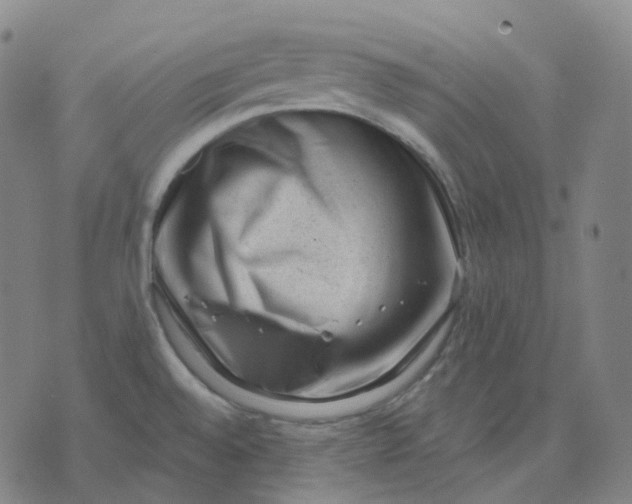 X0000071801528200607211634