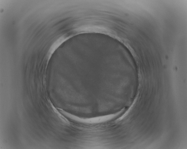 X0000071801529200607211634