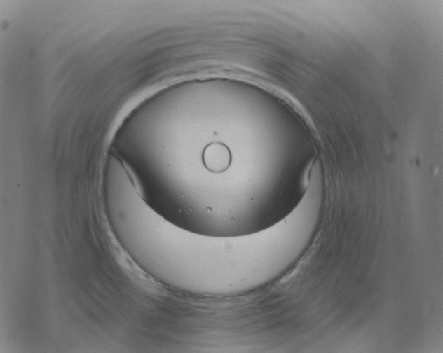 X0000071801530200607211634