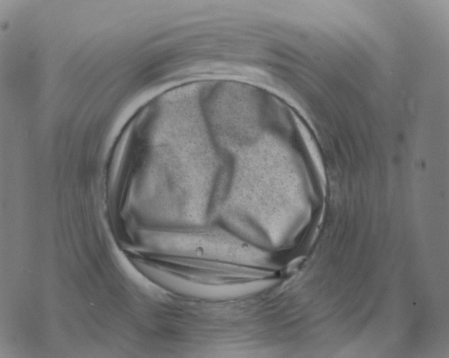 X0000071801531200607211634