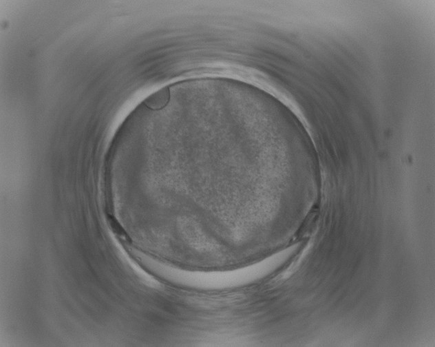 X0000071801533200607211634