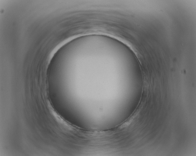 X0000071801534200607211634