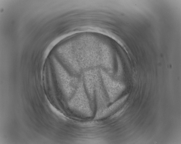 X0000071801535200607211634