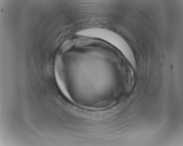 X0000071800035200607282339