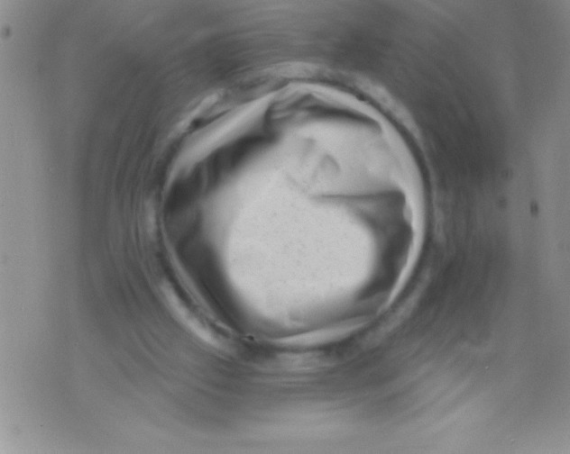 X0000071800057200607282338