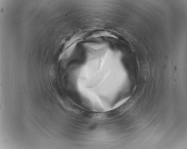 X0000071800088200607282338