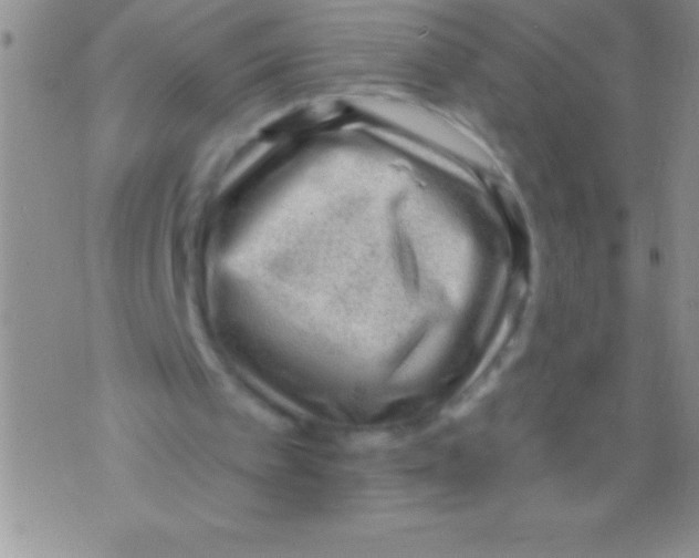 X0000071800097200607282338