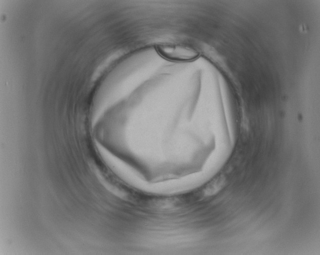 X0000071800106200607282337