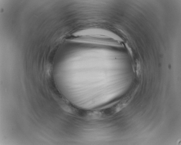 X0000071800125200607282337
