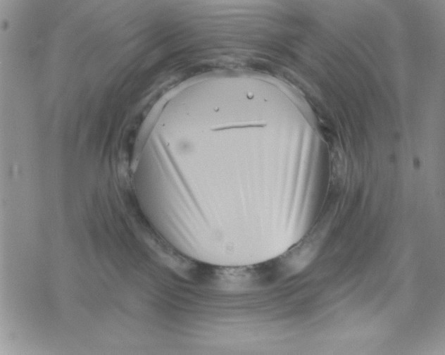 X0000071800141200607282337