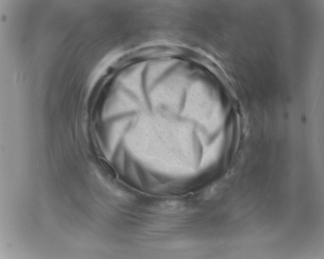 X0000071800152200607282336