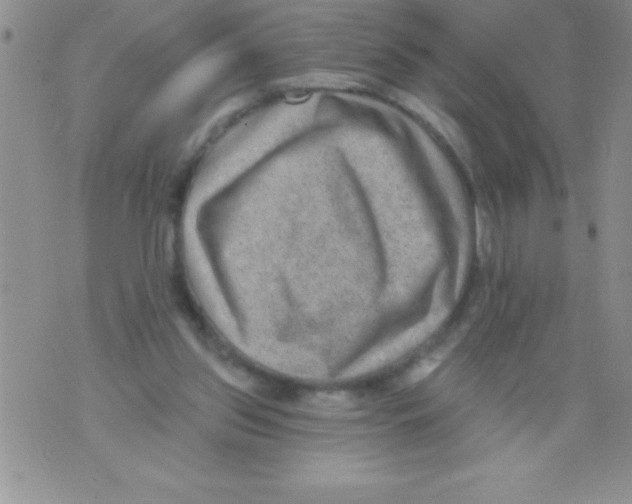 X0000071800157200607282336