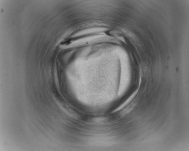 X0000071800158200607282336