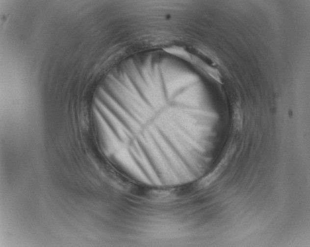 X0000071800170200607282336