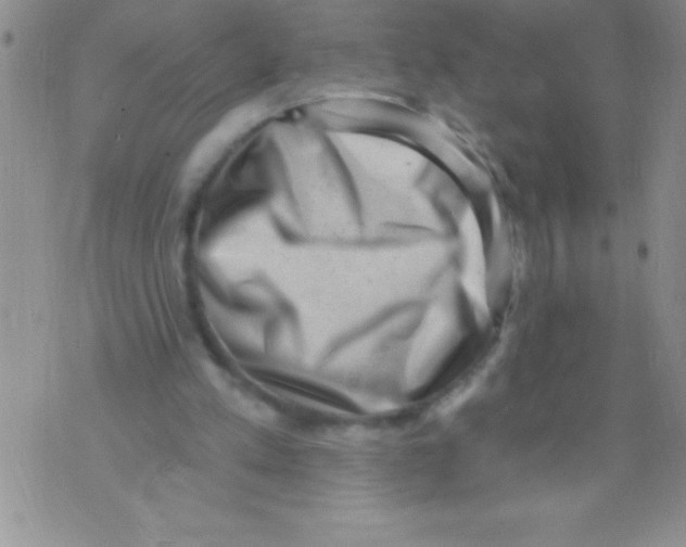 X0000071800197200607282336