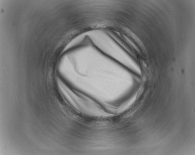 X0000071800209200607282336